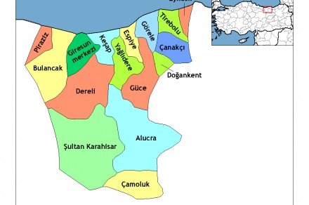 giresun ilçe haritası